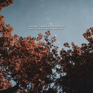 Morning aesthetic wallpaper