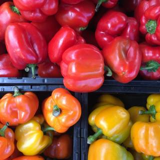 Bell pepper wallpaper