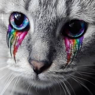Rainbow eyes wallpaper