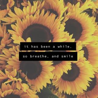 Quotes on sunflower wallpaper