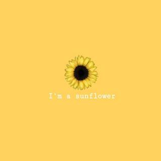 Quotes on sunflower wallpaper