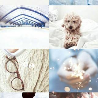 Figure skating aesthetic wallpaper