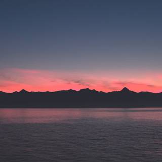 Warm summer aesthetic wallpaper