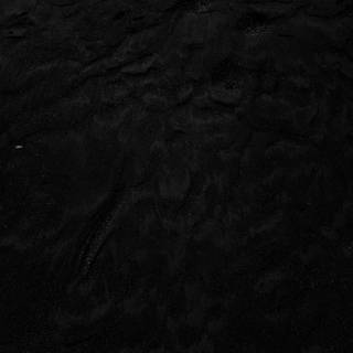 Black profile wallpaper