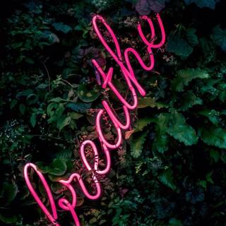 Summer neon wallpaper