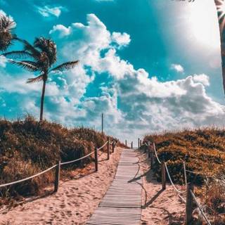 Summer outside wallpaper