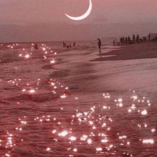 Cute aesthetic summer wallpaper