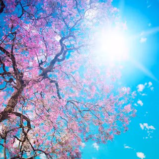 Light blue and light pink desktop wallpaper