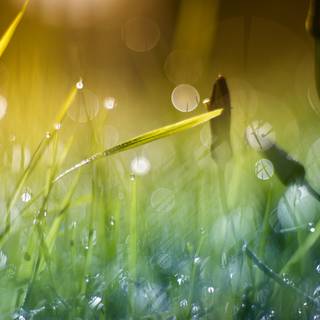 Couple morning 4k wallpaper