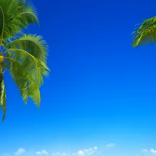 Summer vertical wallpaper