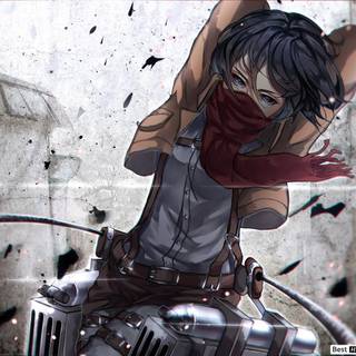 Mikasa HD wallpaper