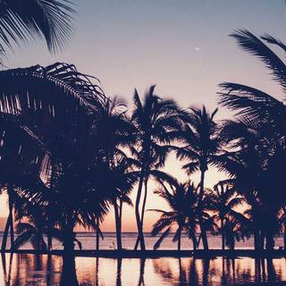 Summer beach sunset wallpaper