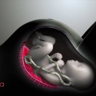 Womb mother wallpaper