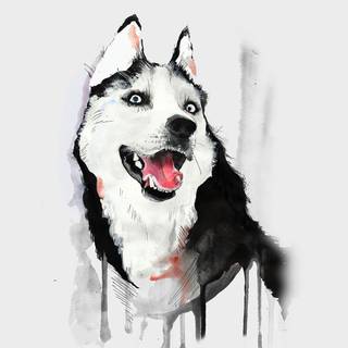 Happy dog 4k wallpaper