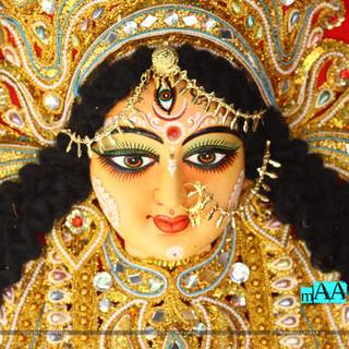 Hit in the face wallpaper