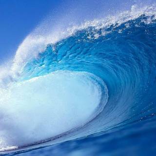 Ride Your Wave wallpaper