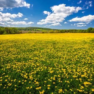 Cloud spring wallpaper