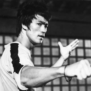 Bruce Lee sidekick wallpaper
