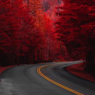 4k aesthetic red wallpaper