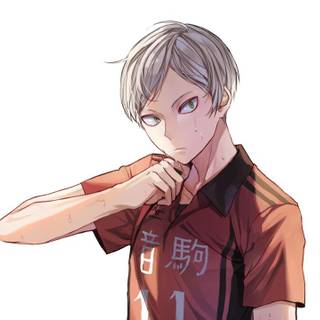 Tsukishima wallpaper