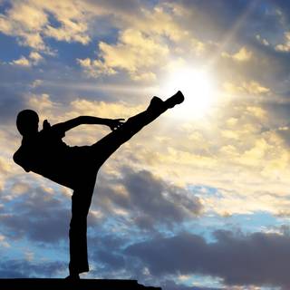 Karate kick wallpaper