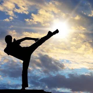 Karate kick wallpaper