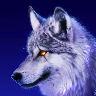 Spirit wolves wallpaper