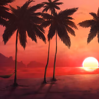 4K sunrise tree wallpaper