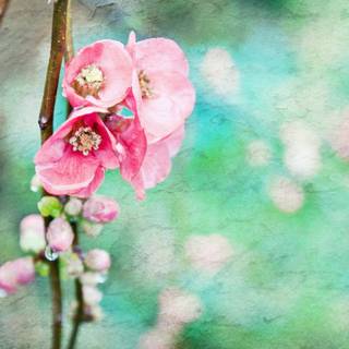 Vintage springtime wallpaper