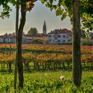 Village springtime wallpaper