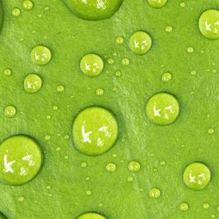 Green nature mobile 4k wallpaper