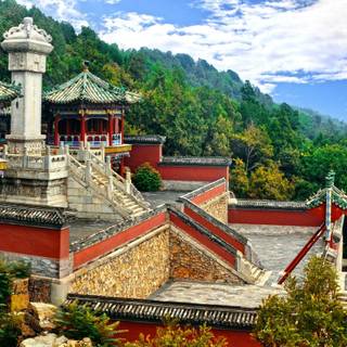 Chinese summer wallpaper