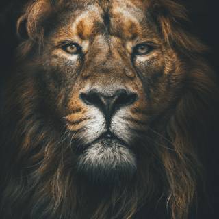 Galaxy A32 wallpaper