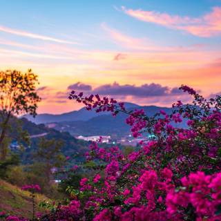 Spring HD computer wallpaper