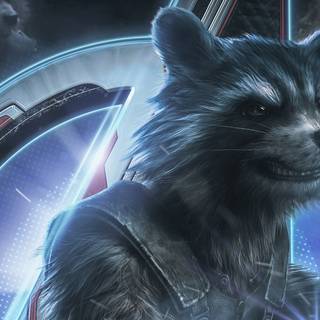 4k raccoon wallpaper