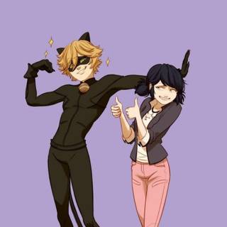 Miraculous Marichat wallpaper