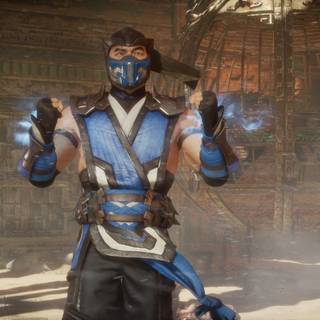 Mortal Kombat Sub Zero 4k desktop wallpaper