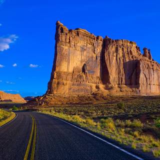 Plant erosion wallpaper