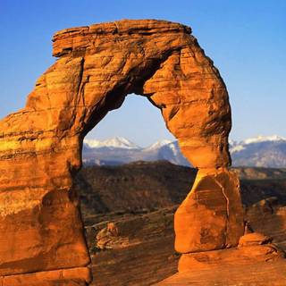 Plant erosion wallpaper