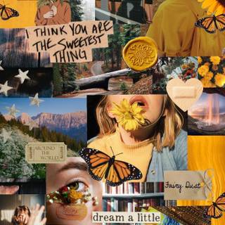 Sunflower aesthetic collage wallpaper