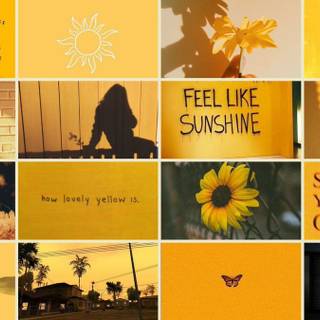 Sunflower aesthetic collage wallpaper