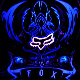 Fox Racing logo HD wallpaper