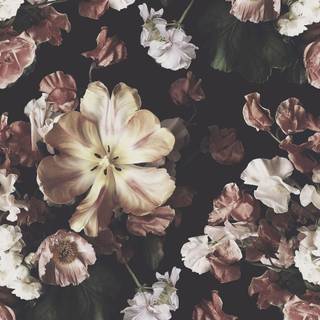 Floral beauty wallpaper
