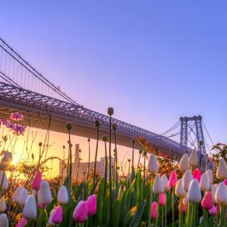 Manhattan spring wallpaper