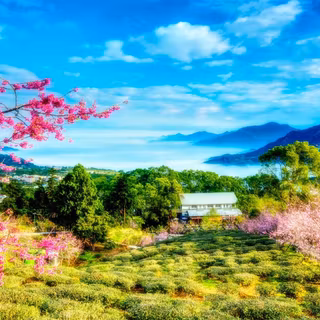 Zurich spring wallpaper