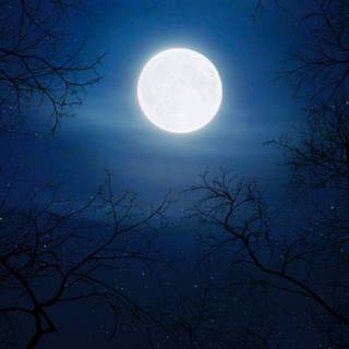 Full moon 4k wallpaper
