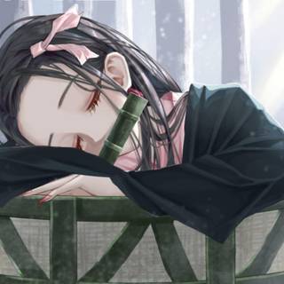 Sleep Nezuko wallpaper