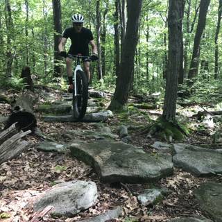 Blue Knob State Park wallpaper