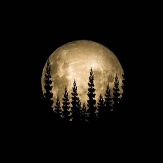 Full moon 2021 wallpaper