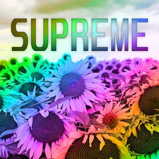 Rainbow Supreme wallpaper